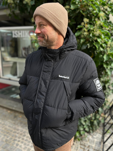 Timberland Steppjacke (schwarz)
